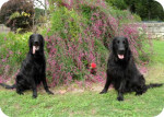 Tristan en Thibault 